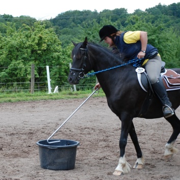 Die Ponys die CV-Ponyfarm in Steinbach 2011-2- 63