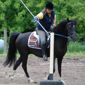 Die Ponys die CV-Ponyfarm in Steinbach 2011-2- 65