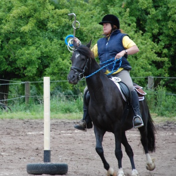 Die Ponys die CV-Ponyfarm in Steinbach 2011-2- 66