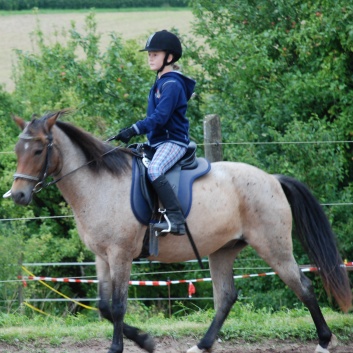 Die Ponys die CV-Ponyfarm in Steinbach 2011-2- 68