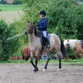 Die Ponys die CV-Ponyfarm in Steinbach 2011-2- 69