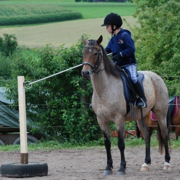 Die Ponys die CV-Ponyfarm in Steinbach 2011-2- 70