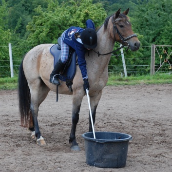 Die Ponys die CV-Ponyfarm in Steinbach 2011-2- 72