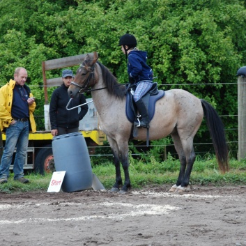 Die Ponys die CV-Ponyfarm in Steinbach 2011-2- 75