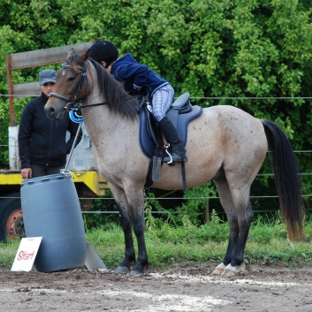 Die Ponys die CV-Ponyfarm in Steinbach 2011-2- 76