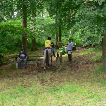 Die Ponys die CV-Ponyfarm in Steinbach 2011 - 19