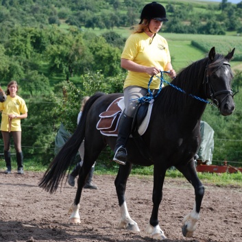 Die Ponys die CV-Ponyfarm in Steinbach 2011 - 21