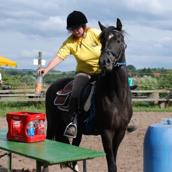 Die Ponys die CV-Ponyfarm in Steinbach 2011 - 24