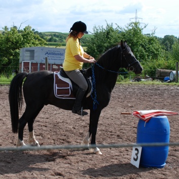 Die Ponys die CV-Ponyfarm in Steinbach 2011 - 26