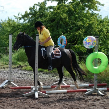 Die Ponys die CV-Ponyfarm in Steinbach 2011 - 28