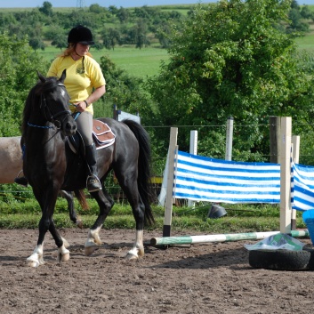 Die Ponys die CV-Ponyfarm in Steinbach 2011 - 30