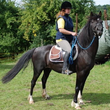 Die Ponys die CV-Ponyfarm in Steinbach 2011 - 45