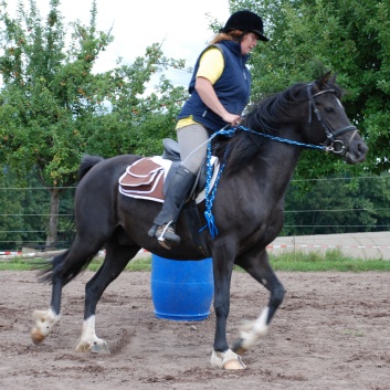 Die Ponys die CV-Ponyfarm in Steinbach 2011 - 50