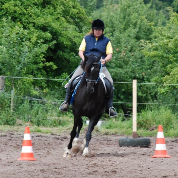 Die Ponys die CV-Ponyfarm in Steinbach 2011 - 52