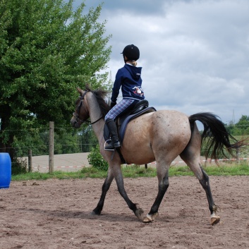 Die Ponys die CV-Ponyfarm in Steinbach 2011 - 58