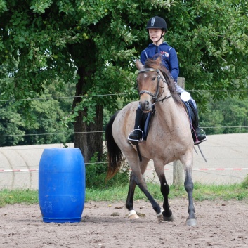 Die Ponys die CV-Ponyfarm in Steinbach 2011 - 59
