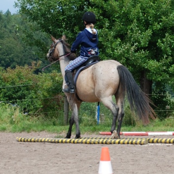 Die Ponys die CV-Ponyfarm in Steinbach 2011 - 61