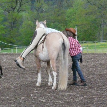 Die betrunkenen Cowboys auf der CV Ponyfarm 2010 - 28