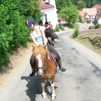 Fuchsjagd der CV-Ponyfarm 2010 - 03