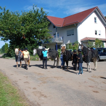 Gelaenderallye CV-Ponyfarm 2011-04