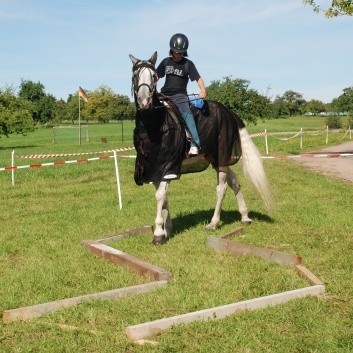 Gelaenderallye CV-Ponyfarm 2011-06