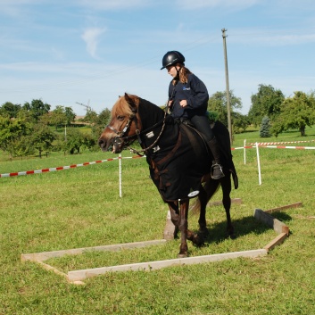 Gelaenderallye CV-Ponyfarm 2011-07