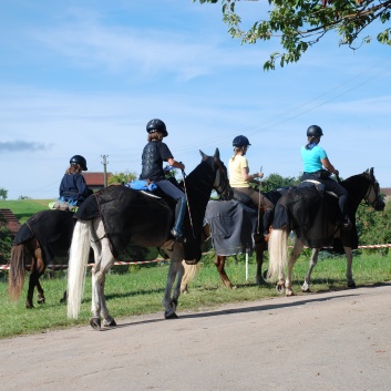 Gelaenderallye CV-Ponyfarm 2011-08