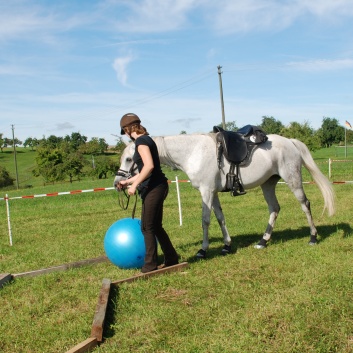 Gelaenderallye CV-Ponyfarm 2011-09