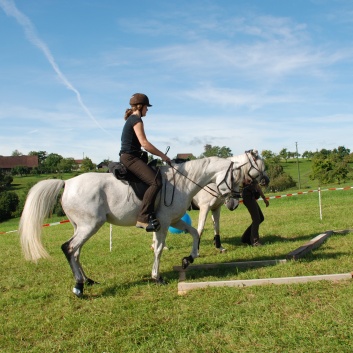 Gelaenderallye CV-Ponyfarm 2011-10