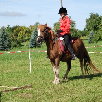 Gelaenderallye CV-Ponyfarm 2011-11
