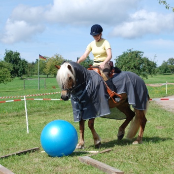 Gelaenderallye CV-Ponyfarm 2011-15