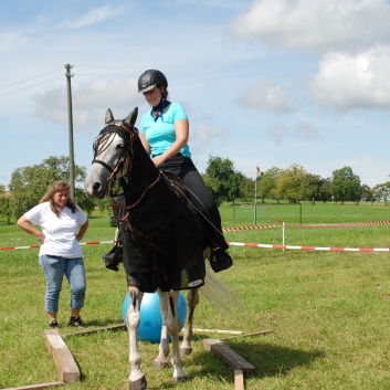 Gelaenderallye CV-Ponyfarm 2011-17