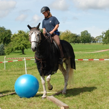 Gelaenderallye CV-Ponyfarm 2011-18