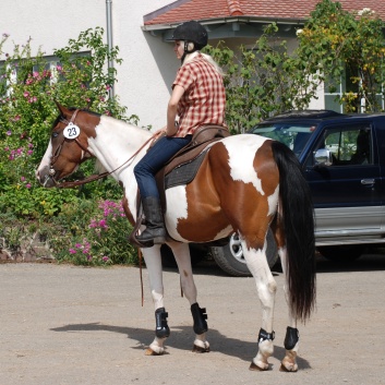 Gelaenderallye CV-Ponyfarm 2011-19