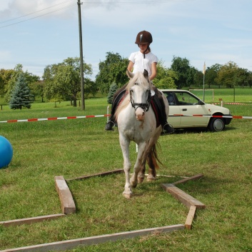 Gelaenderallye CV-Ponyfarm 2011-20