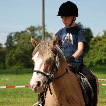 Gelaenderallye CV-Ponyfarm 2011-21