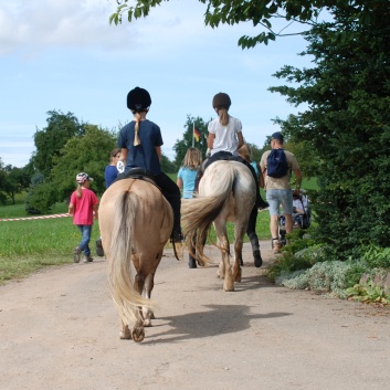 Gelaenderallye CV-Ponyfarm 2011-23
