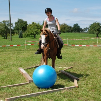 Gelaenderallye CV-Ponyfarm 2011-24