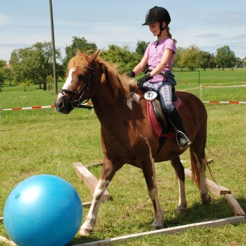 Gelaenderallye CV-Ponyfarm 2011-25