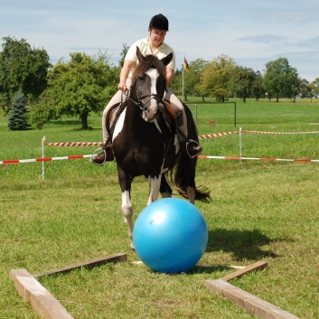 Gelaenderallye CV-Ponyfarm 2011-26