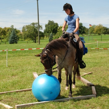 Gelaenderallye CV-Ponyfarm 2011-27