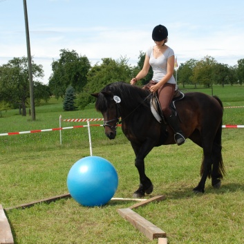 Gelaenderallye CV-Ponyfarm 2011-29