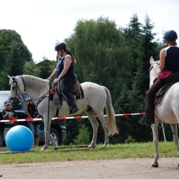 Gelaenderallye CV-Ponyfarm 2011-30