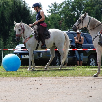 Gelaenderallye CV-Ponyfarm 2011-31
