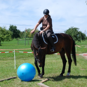 Gelaenderallye CV-Ponyfarm 2011-32
