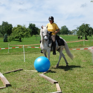 Gelaenderallye CV-Ponyfarm 2011-33