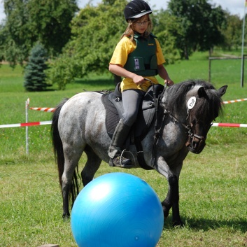 Gelaenderallye CV-Ponyfarm 2011-34
