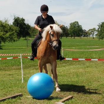 Gelaenderallye CV-Ponyfarm 2011-35 Gelaenderallye CV-Ponyfarm 2011-35