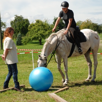 Gelaenderallye CV-Ponyfarm 2011-36