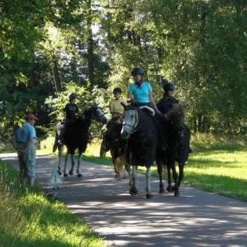 Gelaenderallye CV-Ponyfarm 2011- Stop 1 - 02